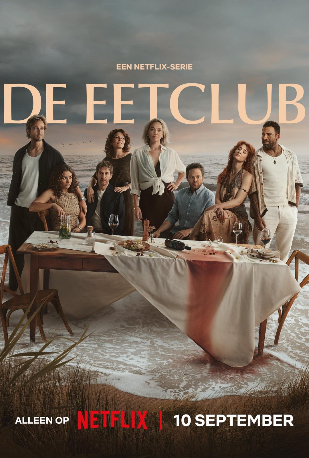 The Perfect Lie dizi afişi